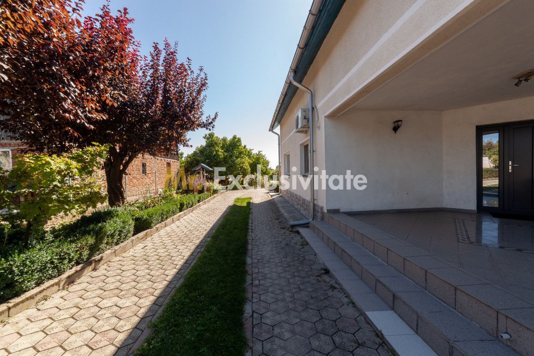 Casa visurilor cu 4000 mp livada roditoare si gradina Darmanesti-Arges - Poză 5