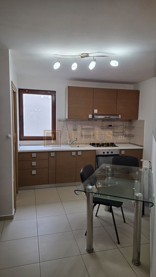 Penthouse 100 mp + terasa-Dumbrăvița - Poză 10