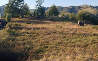 Teren Intravilan | 3.000 mp | Gârda de Sus | Alba | - Poză 1