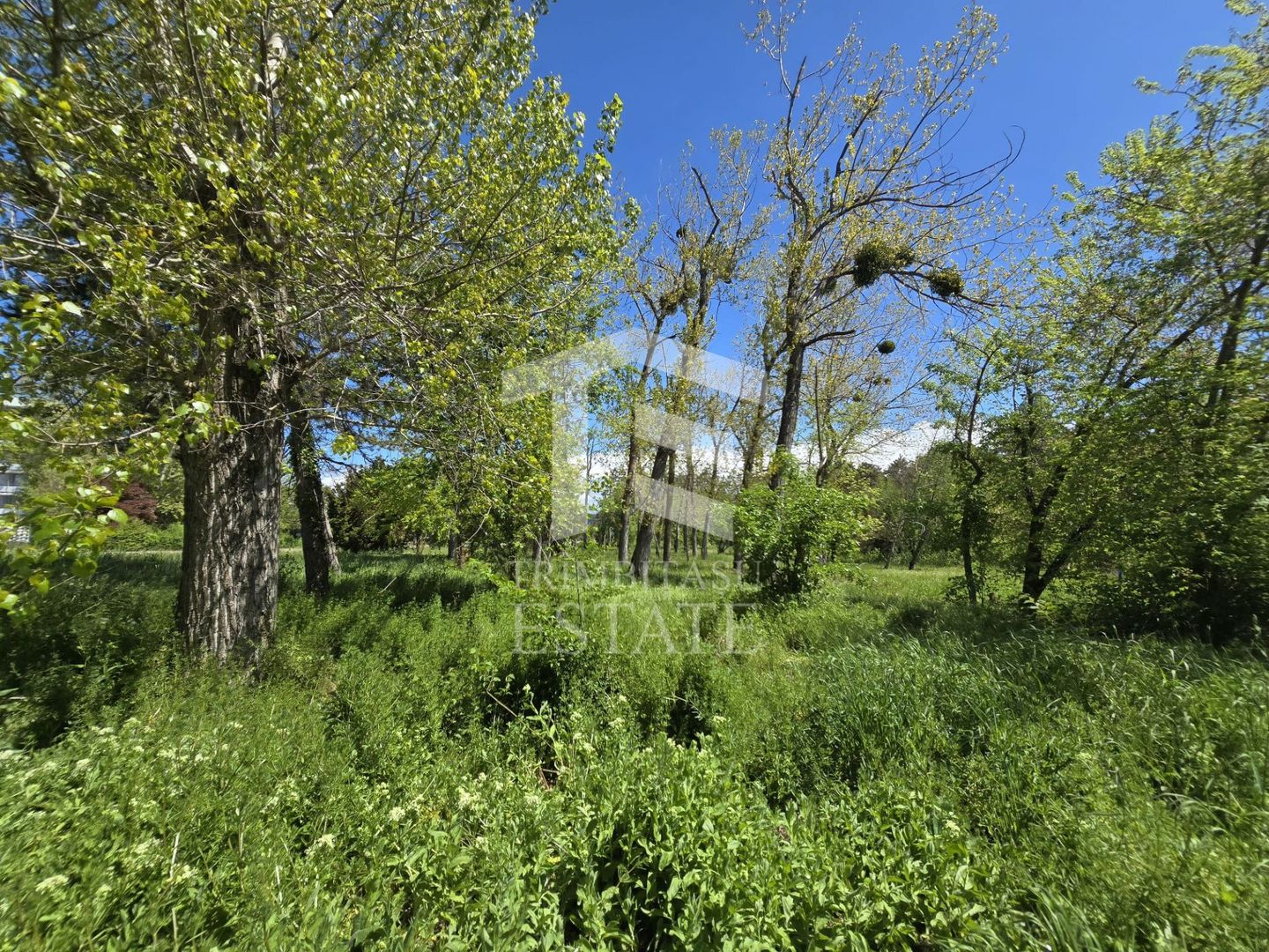 🏖 Teren de vanzare in Neptun – O oportunitate rara de investitie. - Poză 13