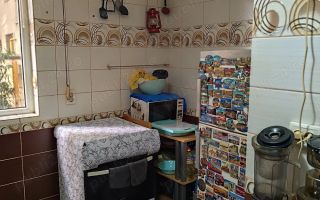 Vânzare apartament 3 camere Titan-Aleea Fetești, Parter inalt, dublu acces - Poză 9