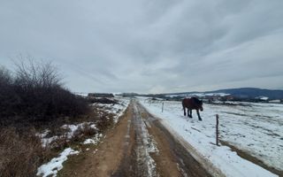 Teren 8.600 mp | Vedere panoramică| Bungard - Poză 3