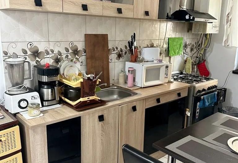 Apartament 2 camere Giroc parter cu gradina - Poză 3