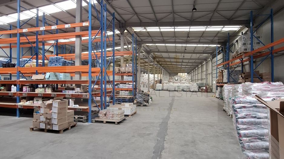 Chirie- Spatiul Industrial/ Depozit-Bragadiru 3000 mp. - Poză 2