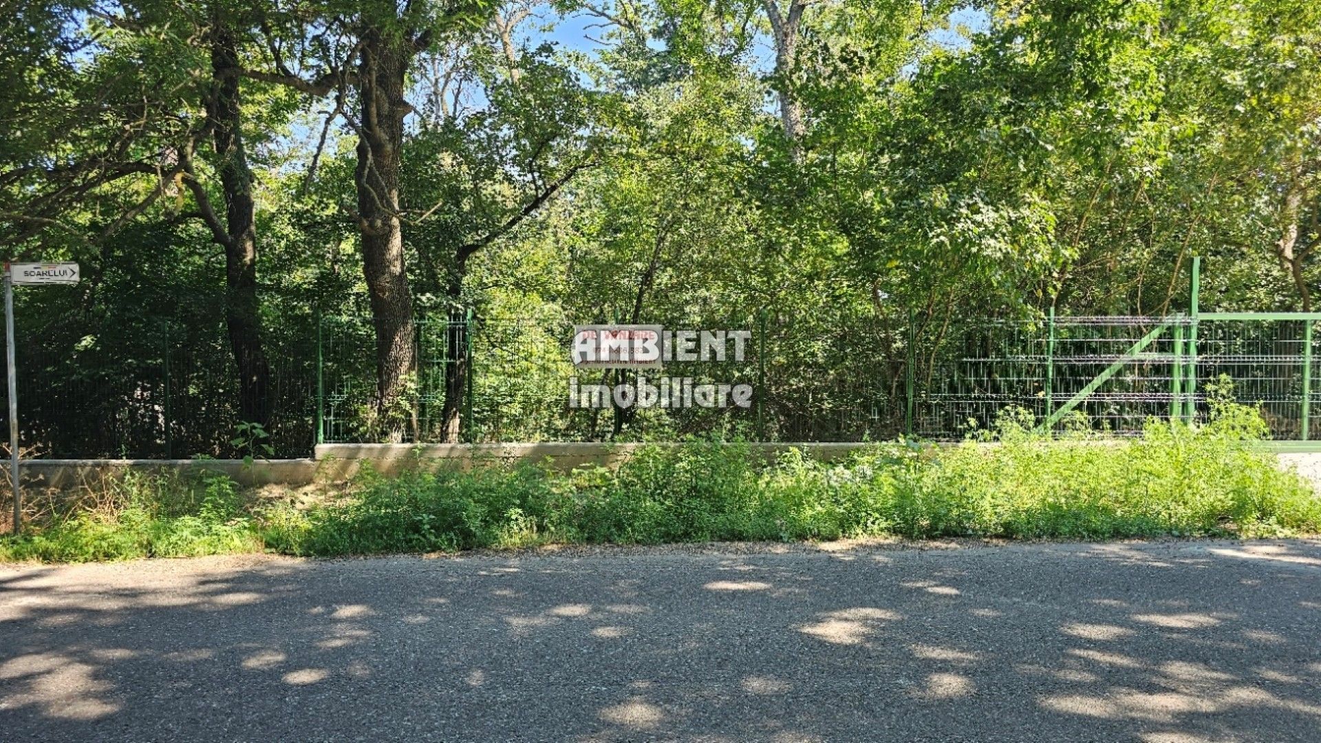 INVESTIȚIE!! Teren intravilan 5.000 mp, zona BĂLTENI - Padure; - Poză 5