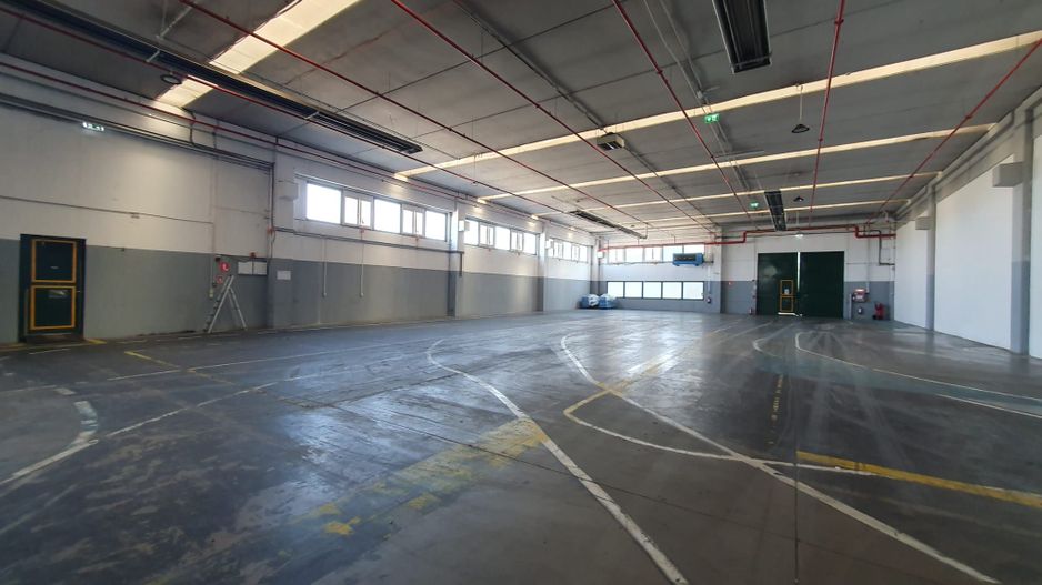 Hala productie /depozitare -zona C.  Sagului - Poză 3