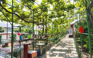 CASA  POIANA | PANOURI SOLARE | TEREN 800 MP - Poză 7