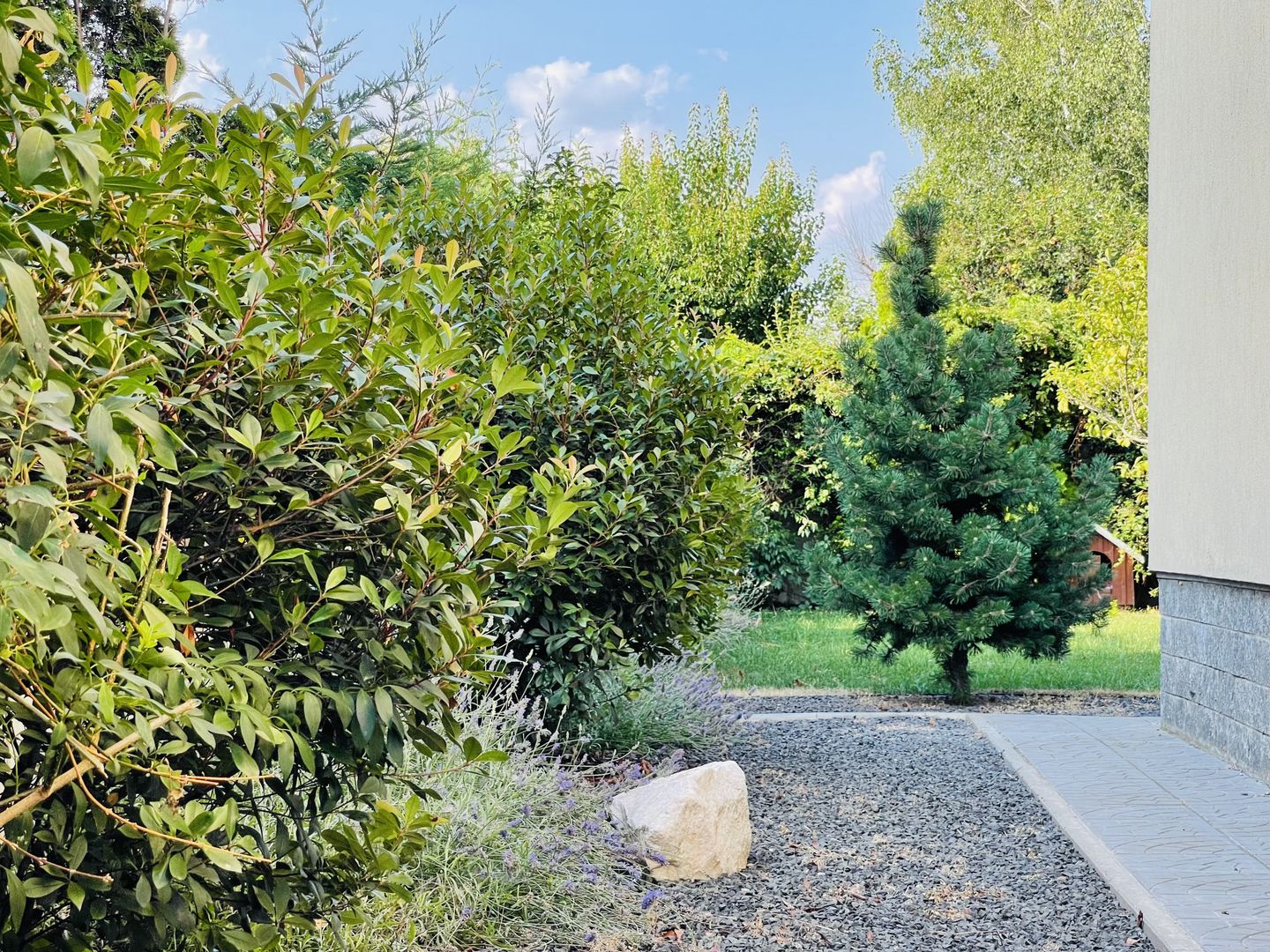 Casa individuala cu 4 dormitoare, 184 mp | Garaj & Gradina | Fropin - Poză 44