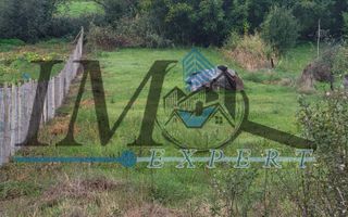 TEREN INTRAVILAN DE VANZARE IN CUT - Poză 1