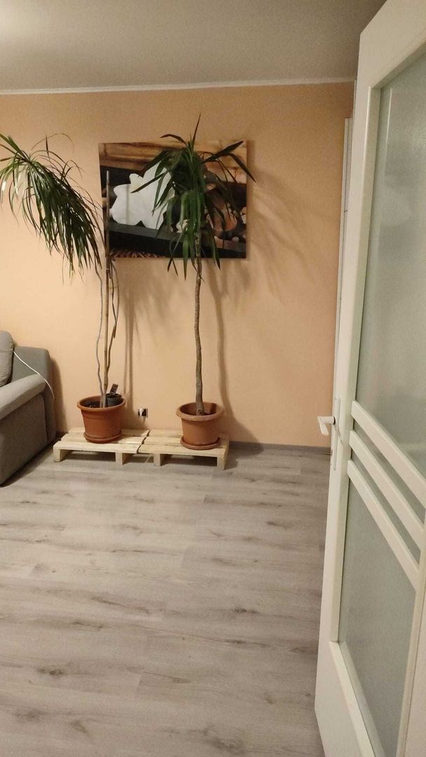 Apartament 2 camere Crangasi-Basarab - Poză 2