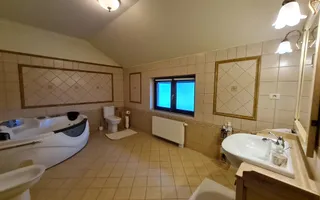 Poziție de top în Dumbravita - Poză 28