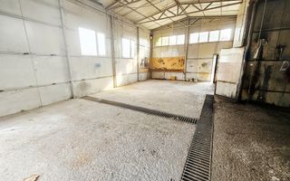 🏡 Casă + Afacere + Relaxare = Investiția Perfectă, in Cioranii de Jos - Poză 23