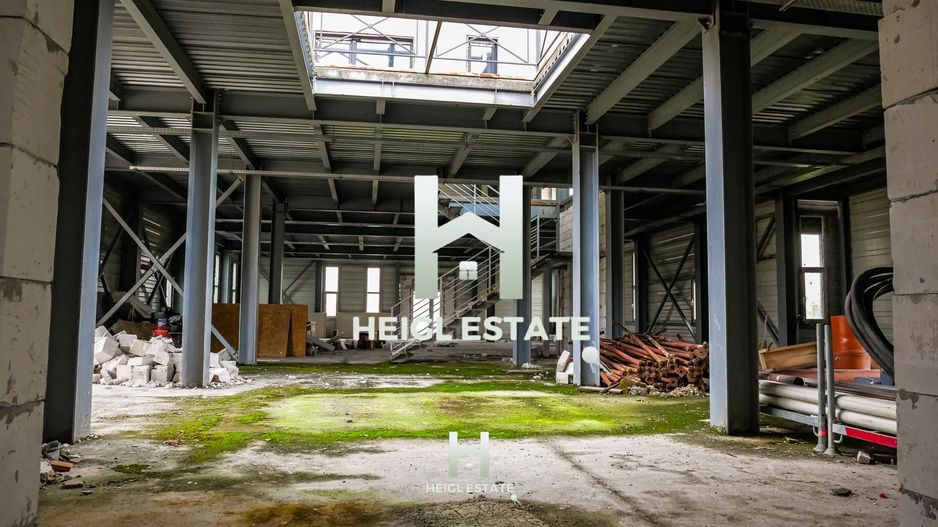 Sala de evenimente in Albina - Poză 15