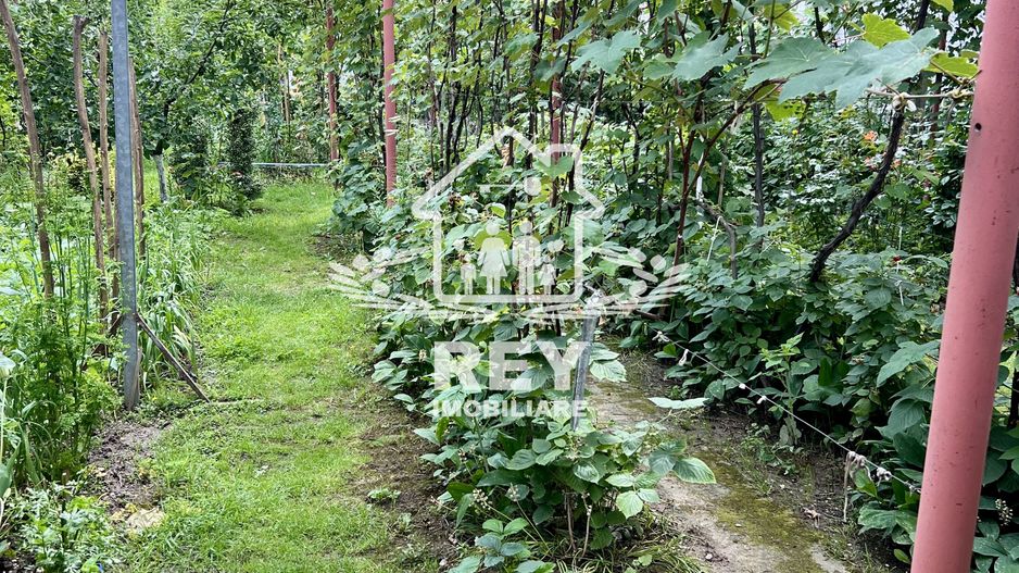 Casa de vanzare 6 camere zona Piata Cluj/Kogalniceanu/Turnisor - Poză 25