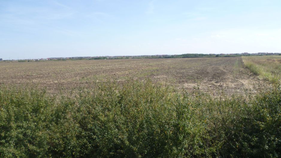 Vand teren pe soseaua de centura, la 800 de metri de Calea Aradului - Poză 5
