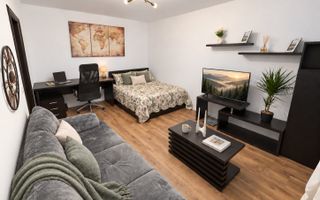 GARSONIERA- OBOR, PET-FRIENDLY, REABILITAT, MASINA DE SPALAT VASE - Poză 1