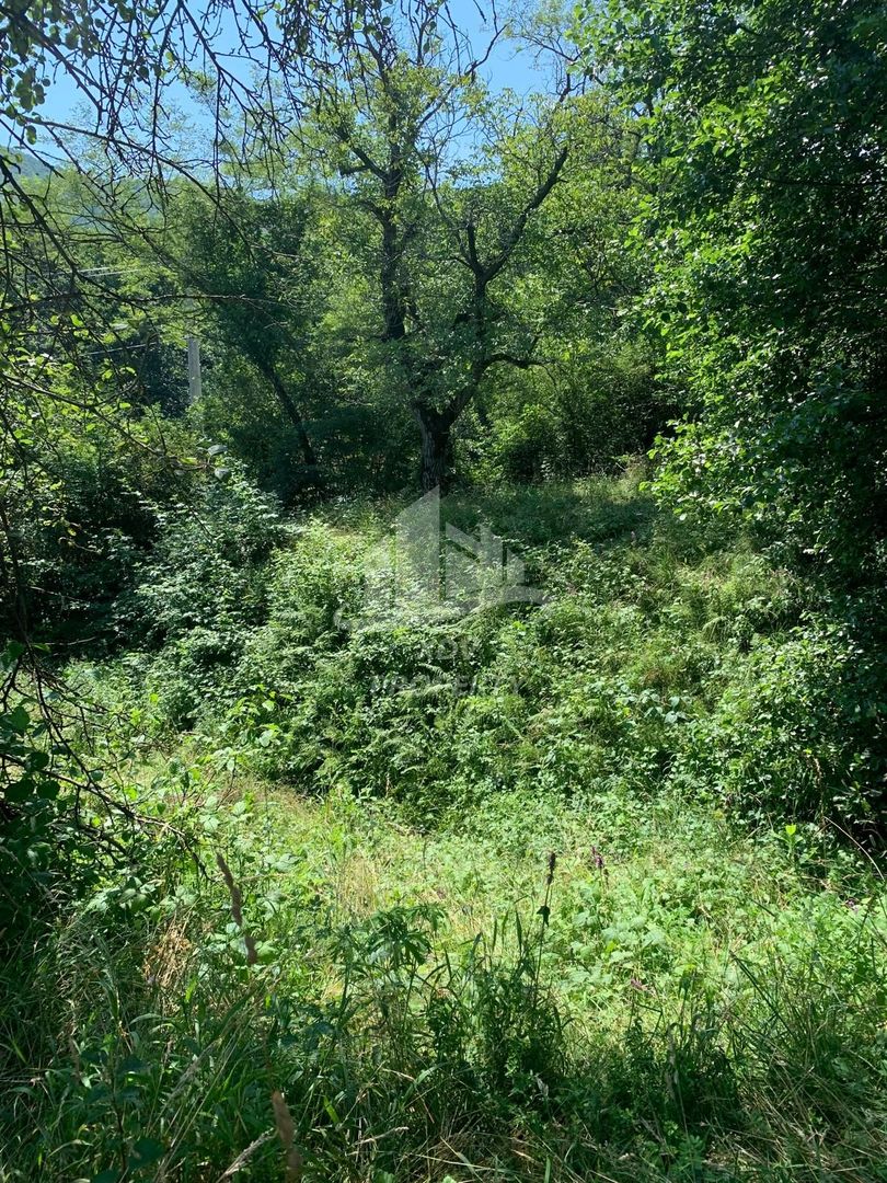 Teren in zona turistica Porumbacu de Sus - Poză 6