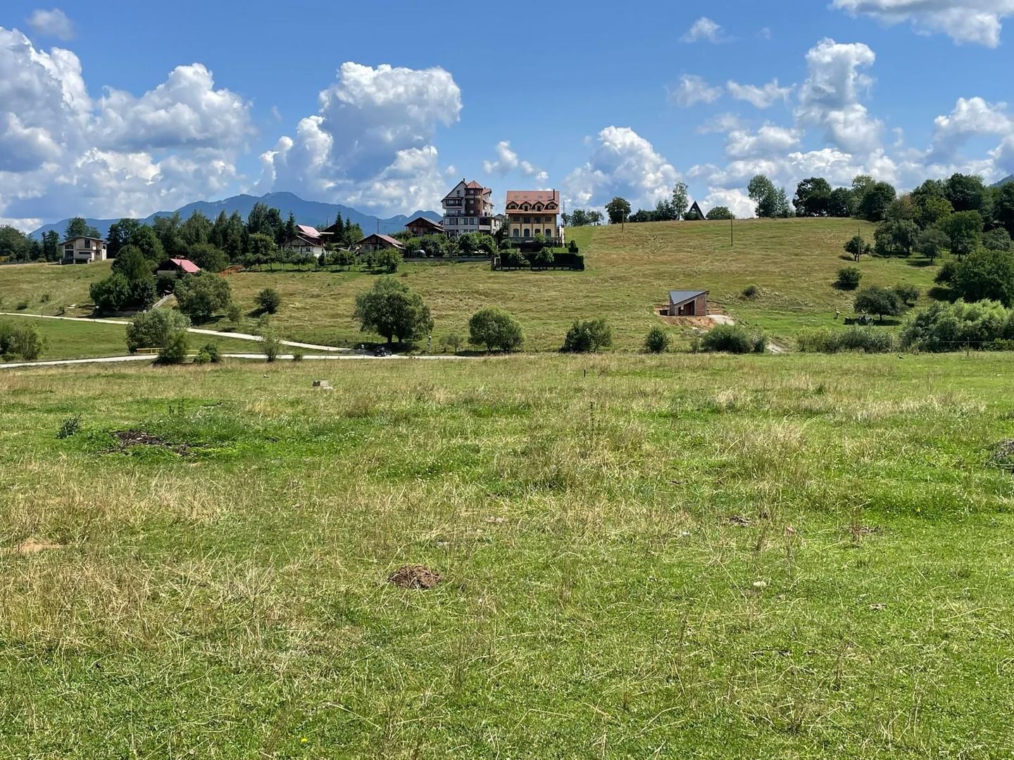 INVESTIȚIE | Teren 5000 mp PUZ APROBAT intravilan - zona Sohodol -Bran - Poză 8