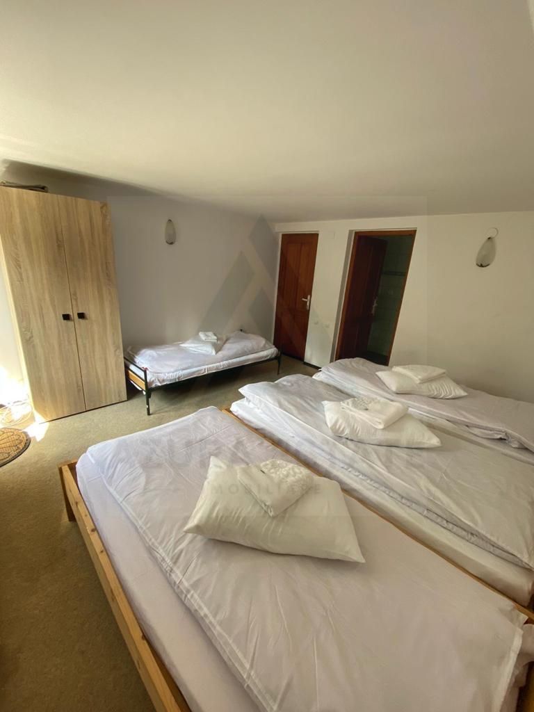 Casa de vacanta 6 camere sau oportunitate de investitie in Paltinis - Poză 2