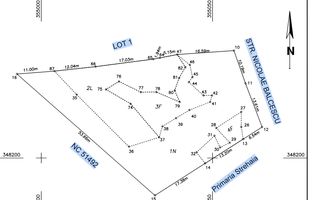 TEREN 1690 MP - ORAS STREHAIA - Poză 4