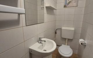 AP. 3 CAMERE - TEIUL DOAMNEI, CENTRALA PROPRIE, REABILITAT, METROU - Poză 4