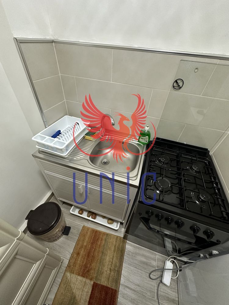 Garsoniera parter - zona Lapus - Poză 8