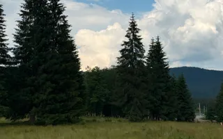 PARCELE DE VÂNZARE, pe malul râului BÂSCA, COMANDAU, COVASNA - Poză 12