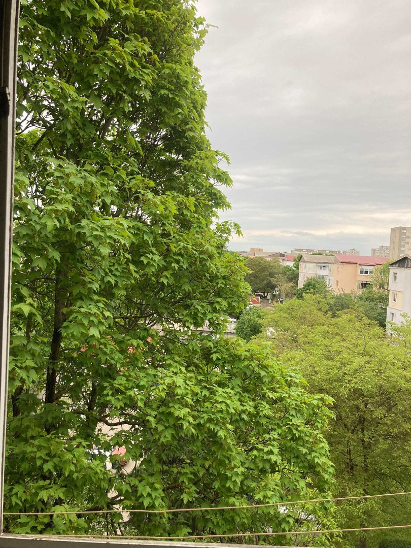 Apartament 3 camere - Poză 2