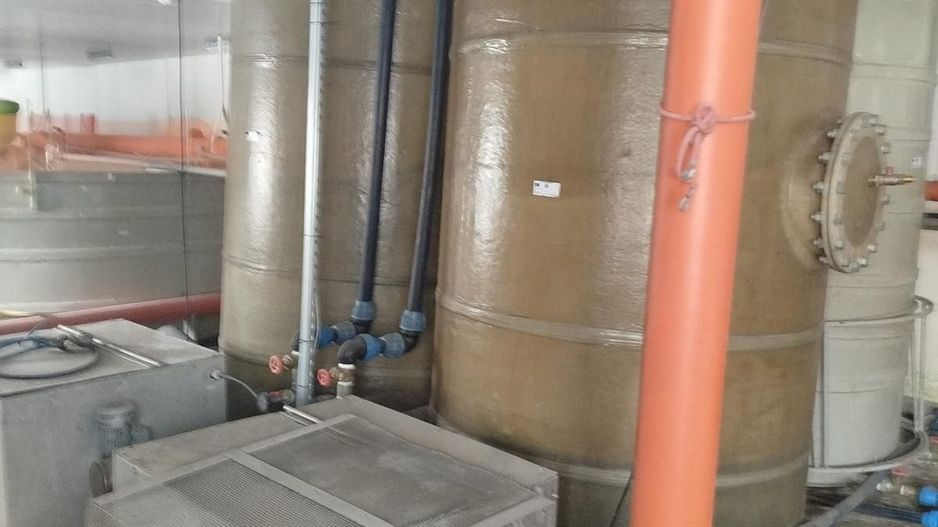 Pensiune + fermă piscicolă (sturion/caviar) | Saru Dornei/Sarisor - Poză 29