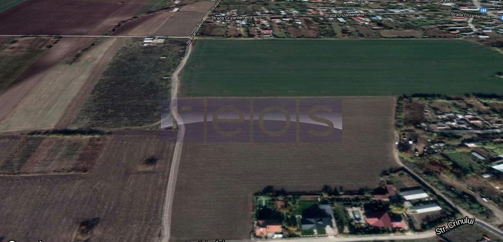 TEREN DE VANZARE 12760MP COMUNA DASCALU - Poză 7