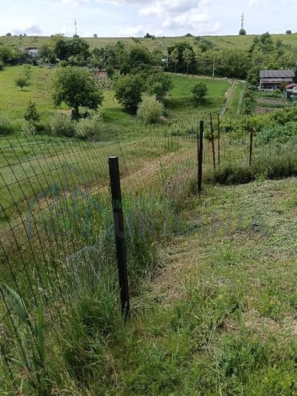 Teren intravilan de vanzare, Vorovesti, comuna Miroslava - Poză 3