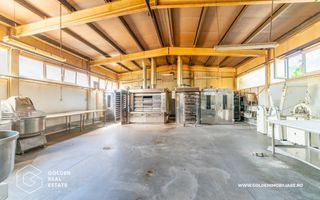 Locuinta de familie cu spatiu ideal pentru dezvoltarea unei afaceri - Poză 14