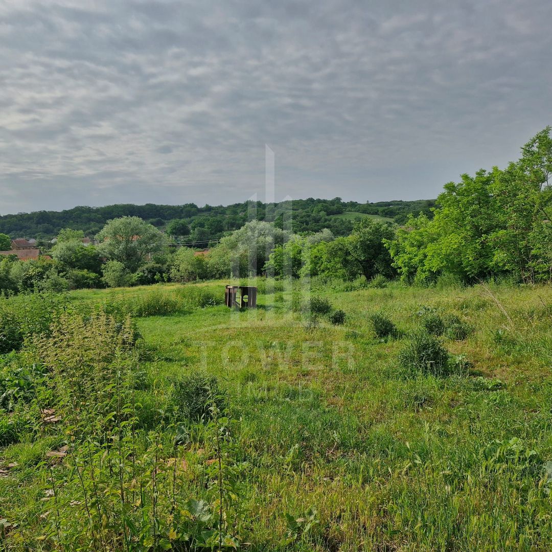 De vânzare Teren versatil 3.919 mp  in localitatea Armeni. Sibiu - Poză 8