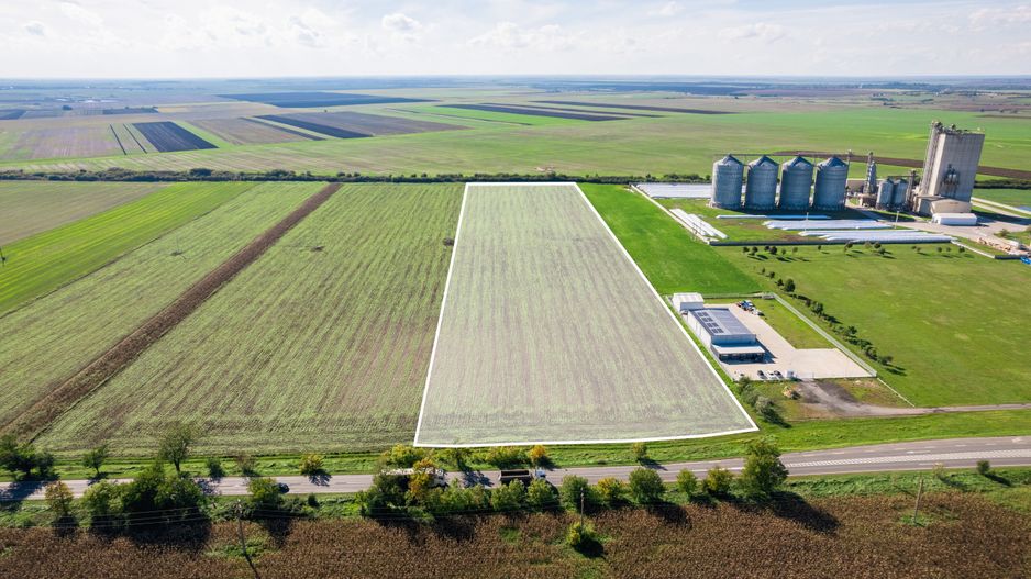 Teren de 104000 mp în Vinga - Poză 2