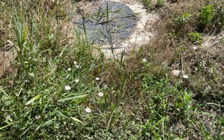 Teren Intravilan Construibil 1093mp - Jucu de Mijloc - Poză 5