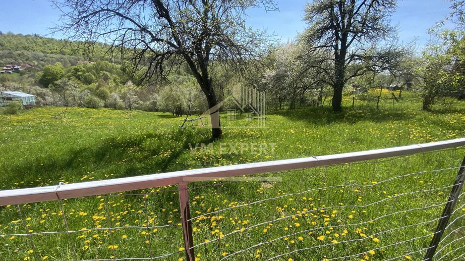 TEREN INTRAVILAN 3265 MP, VALEA MARE PRAVAT, ARGES - Poză 5