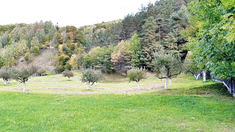 Teren superb de 16240mp, parcelabil, in Bran la intrare in Moeciu de Jos - Poză 17