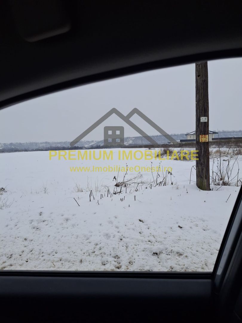 Teren de vânzare – Zona Andrășești – 16.000 mp - Poză 3