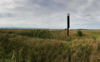 Teren | 19.100MP | Intravilan | Sibiu - Poză 4