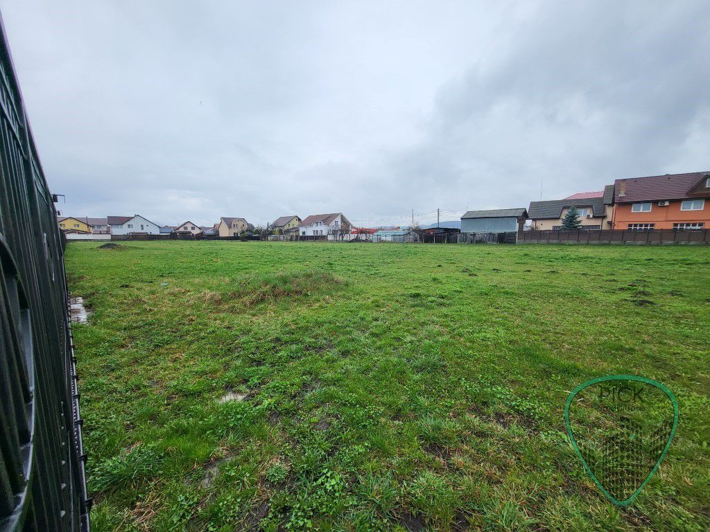 P 1084 - Teren de 6131 mp în județul Mureș, Sâncraiu de Mureș - Poză 2