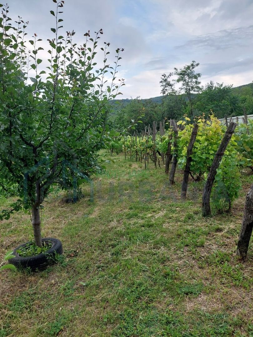 Casă de vânzare, 2 camere, Hilița, Costuleni - Poză 6