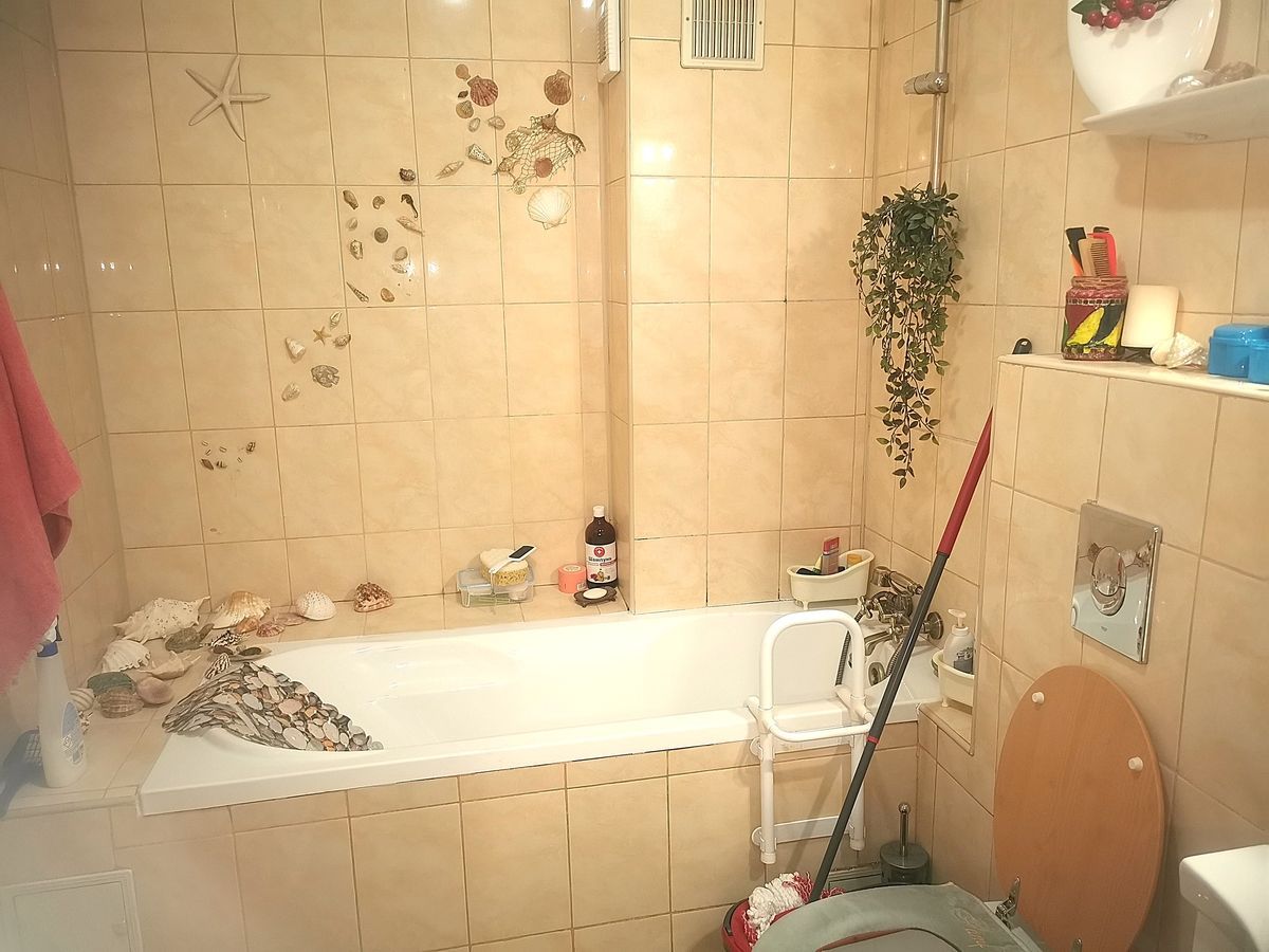 Apartament Plevnei / Orhideea - Poză 8