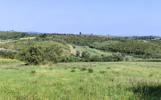 Casa la tara, Calea Mare, Bihor, teren mare, 2 intrari auto – vanzare - Poză 18