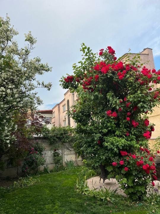 Casa/Vila Marriott/Parlament - Poză 2