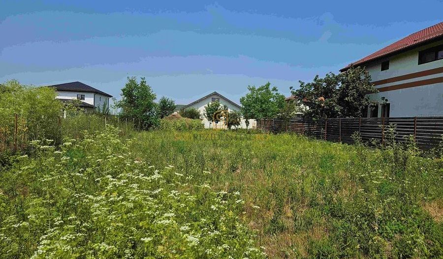 Teren de vanzare, 561 mp, strada Cetatea Alba, Mamina, Comuna Berceni - Poză 8