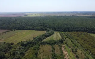 Teren 7808mp Bolovani - comuna Cornățelu (COMISON ZERO) - Poză 12