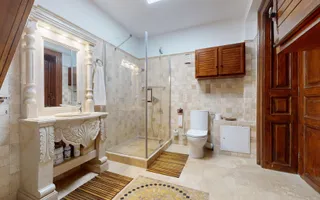 Casă cu șarm istoric lângă Cișmigiu – 6 camere, atrium natural, cramă - Poză 37