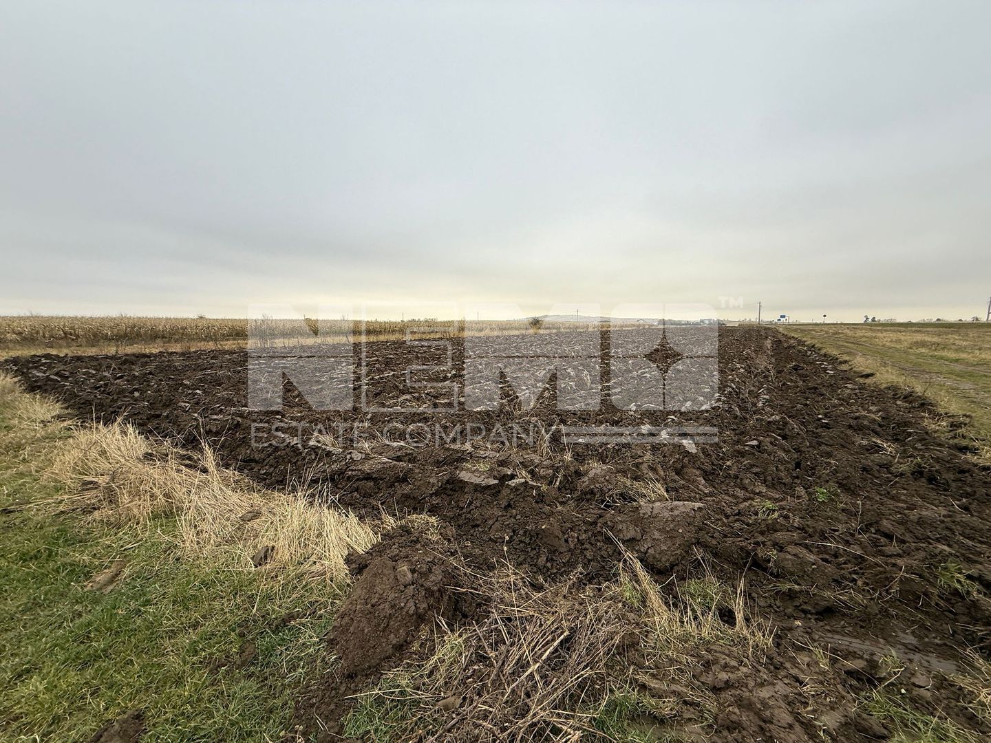 Parcela teren agricol 50 Ari - Poză 3