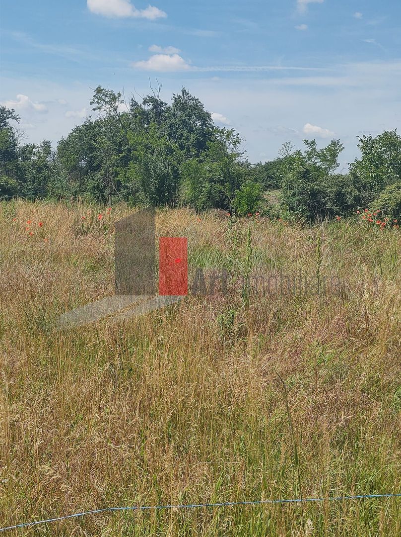Vânzare 2 loturi de casă Dobreni Giurgiu - Poză 6