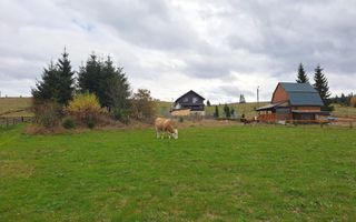 Proprietate unica! Teren generos cu iesire la lac! - Poză 10